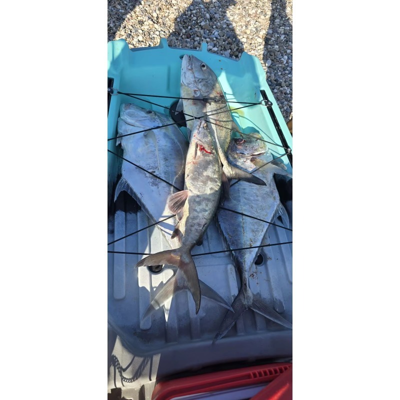 Plastic Fish  Electrico Motor  - Fishing Kayak Seat 评论和价格