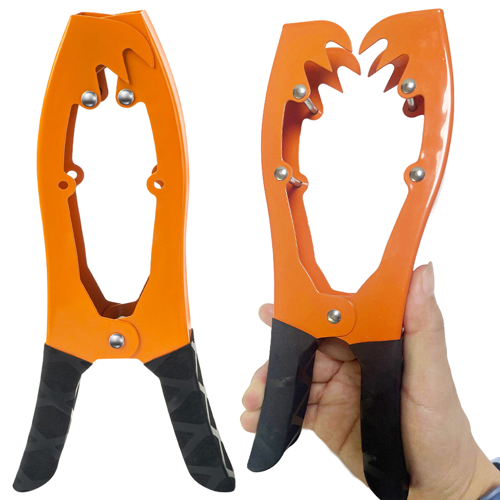 Canoe Anchor Grip with Paracor - Fishing Kayak Anchor 评论和价格